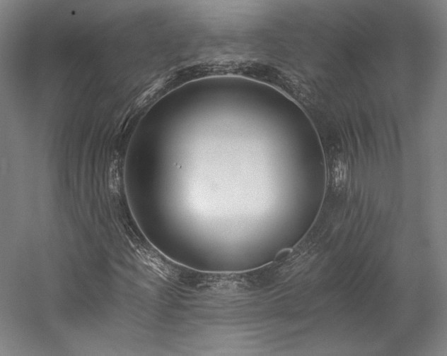 X0000057101204200509091154