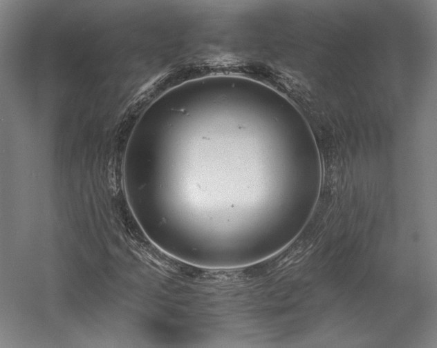 X0000057101205200509091154
