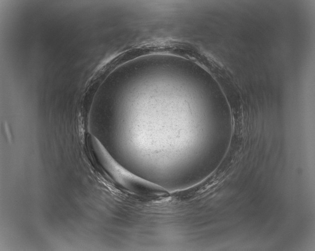 X0000057101206200509091154