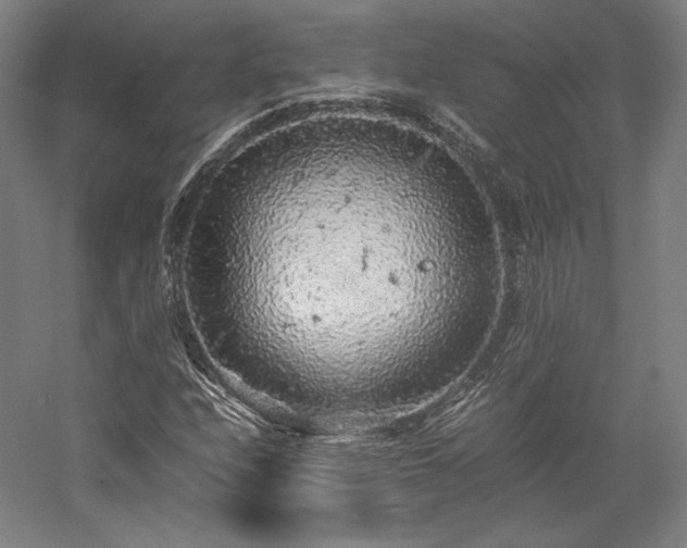 X0000057101208200509091155