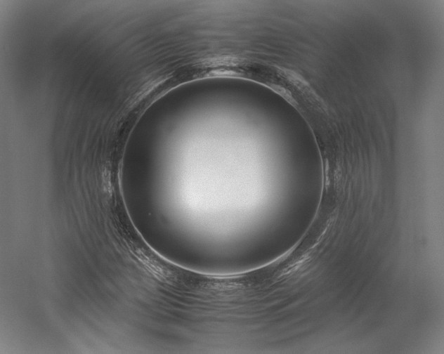 X0000057101209200509091155