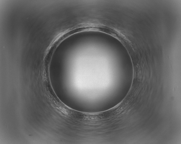 X0000057101215200509091155