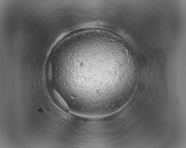 X0000057101224200509091155