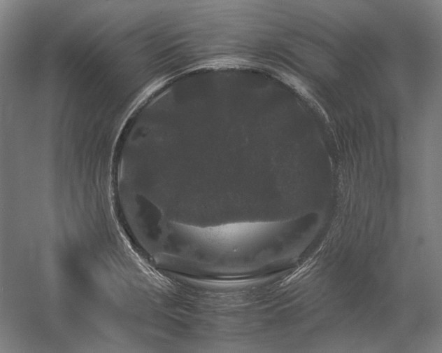 X0000057101229200509091155