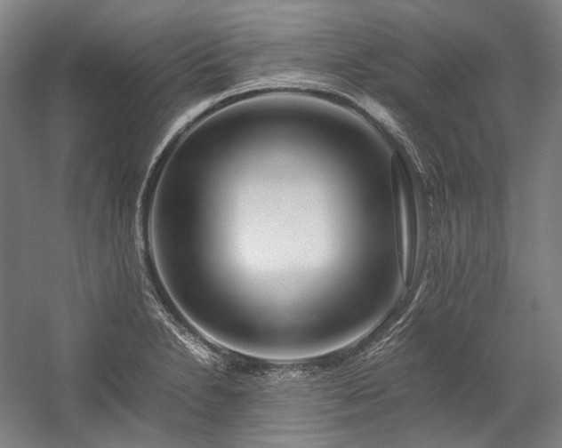 X0000057101230200509091155