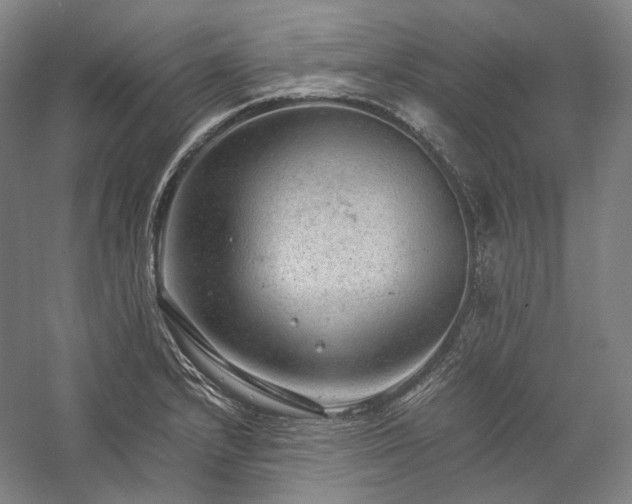 X0000057101232200509091155