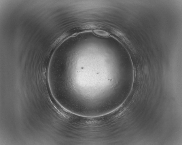 X0000057101233200509091155