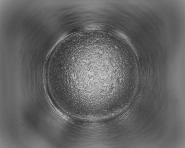 X0000057101235200509091155