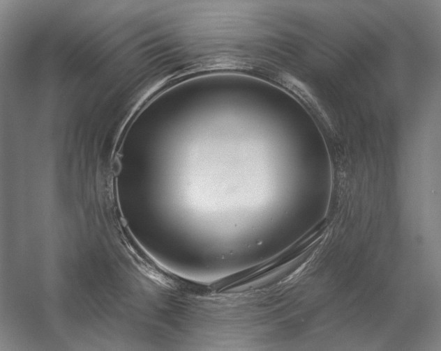 X0000057101236200509091155