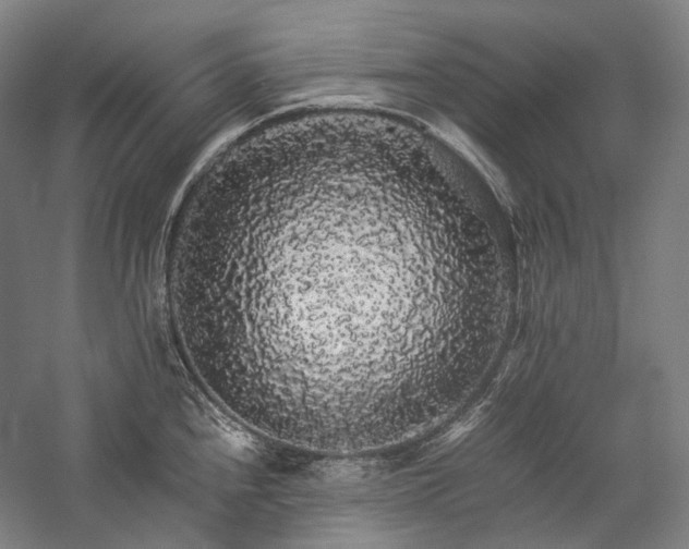 X0000057101240200509091155