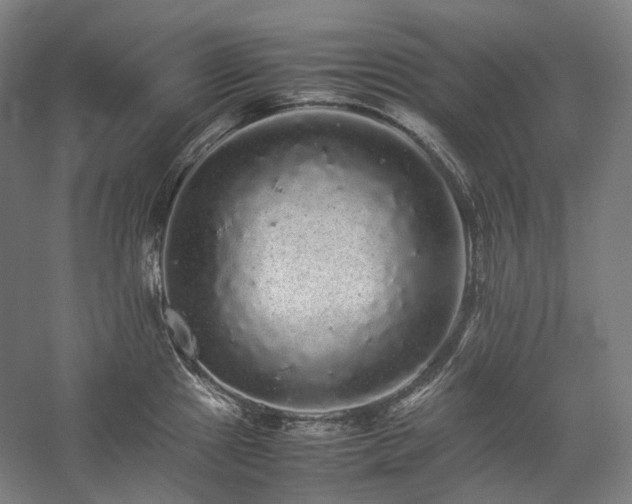 X0000057101241200509091155