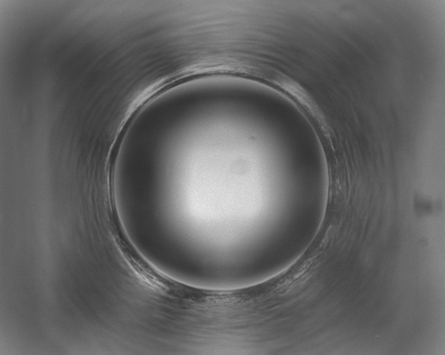 X0000057101242200509091155