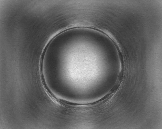 X0000057101246200509091155