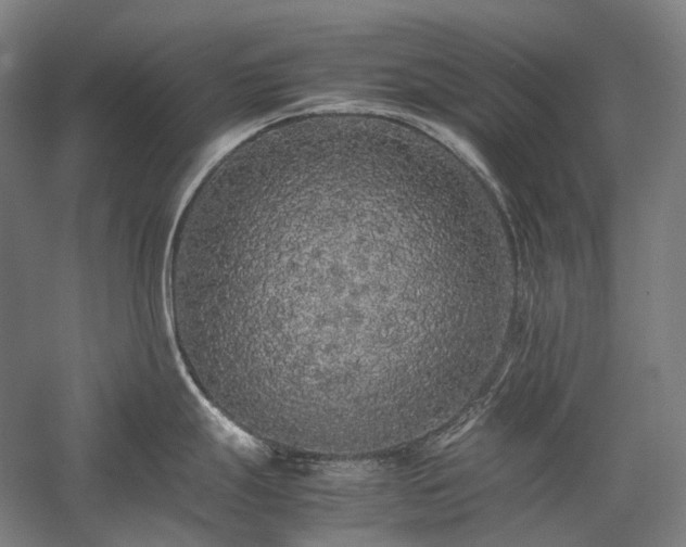 X0000057101247200509091155