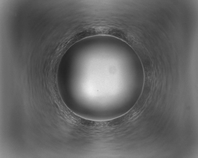 X0000057101249200509091154