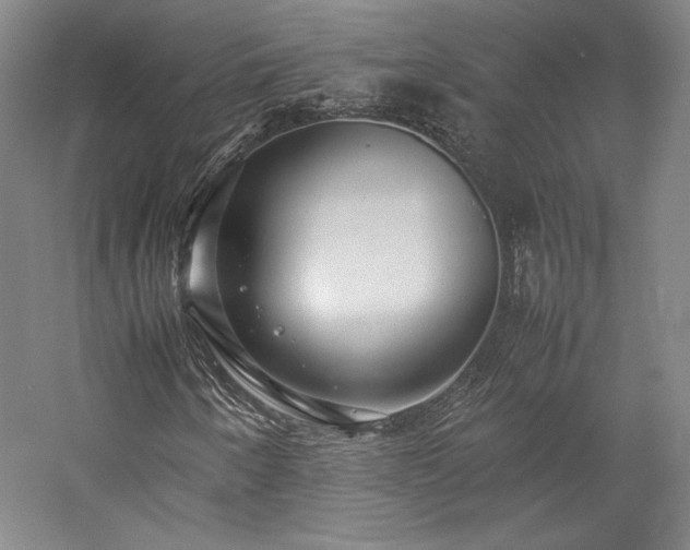 X0000057101250200509091154