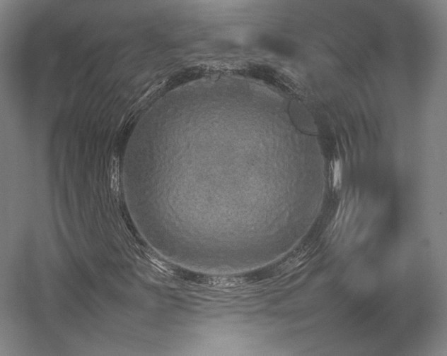 X0000057101251200509091154