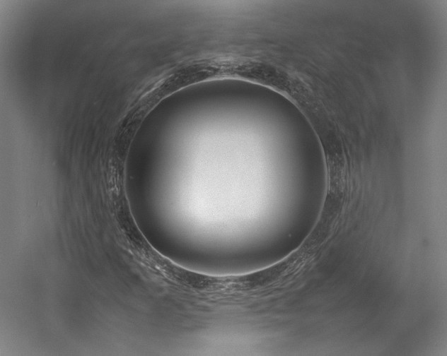 X0000057101253200509091154