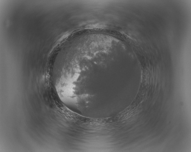 X0000057101254200509091154