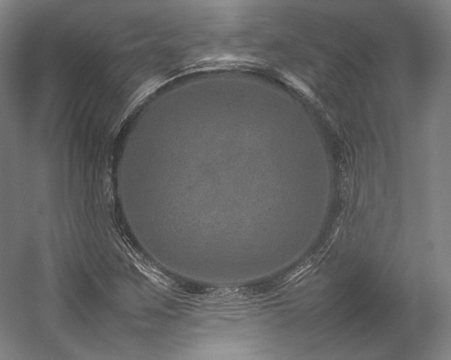 X0000057101259200509091154