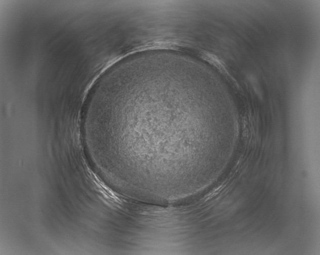 X0000057101260200509091154