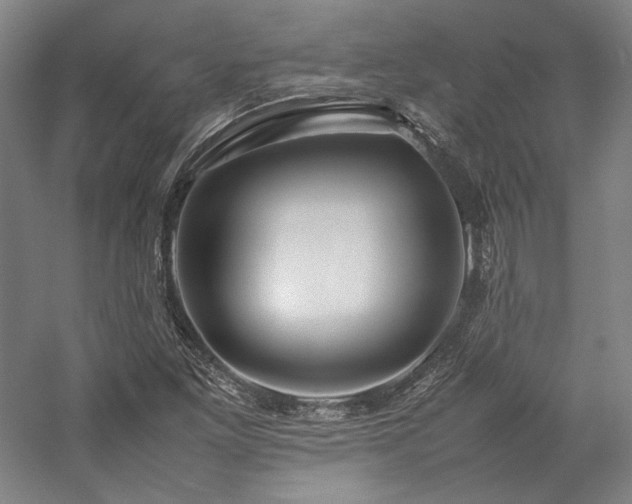 X0000057101261200509091154