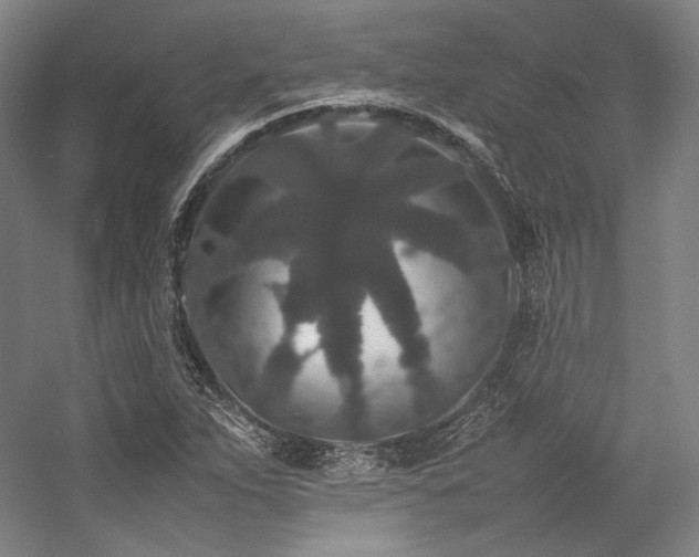 X0000057101263200509091154
