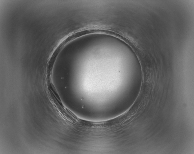 X0000057101264200509091154