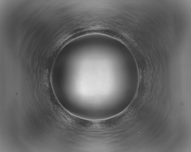 X0000057101265200509091154