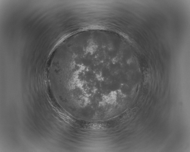 X0000057101266200509091154