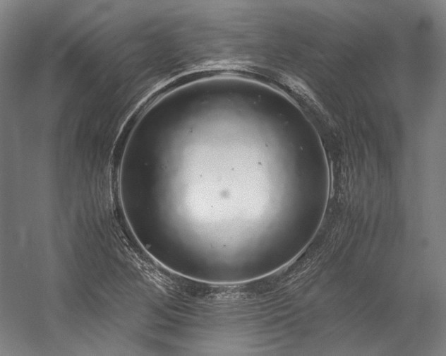X0000057101268200509091154
