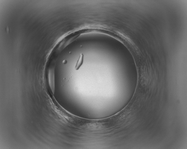 X0000057101272200509091154