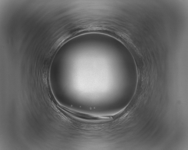 X0000057101273200509091154