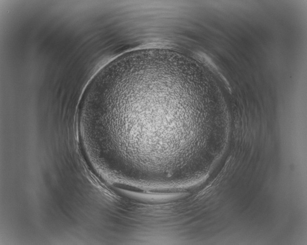 X0000057101276200509091154