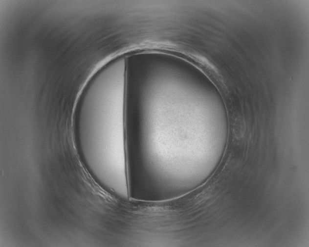 X0000057101280200509091154