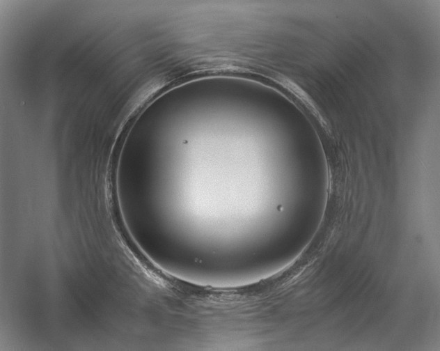 X0000057101285200509091154