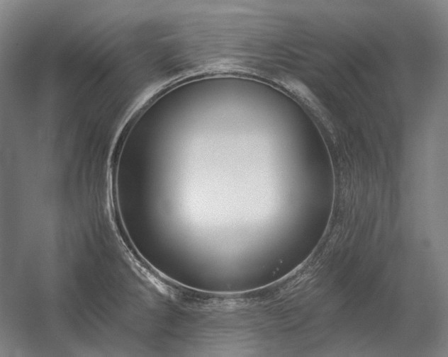X0000057101286200509091154