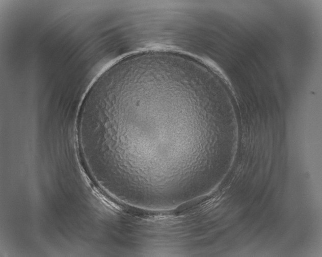 X0000057101287200509091154