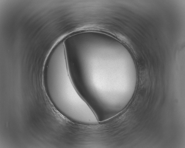X0000057101288200509091154