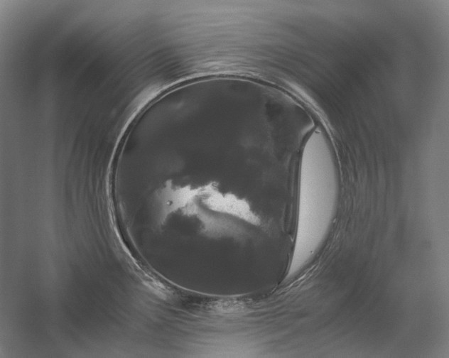 X0000057101291200509091154