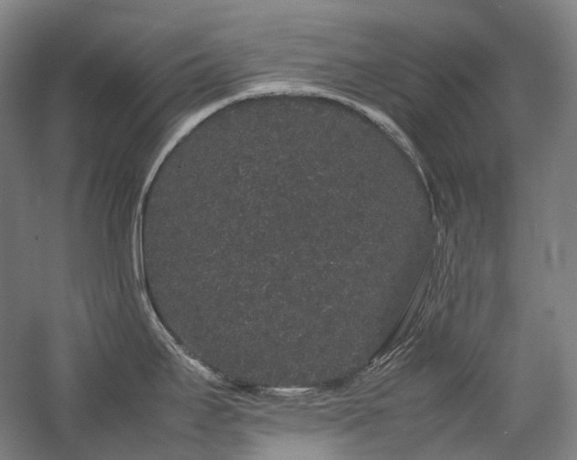X0000057101295200509091154