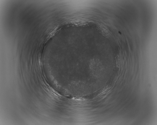 X0000057101298200509091153