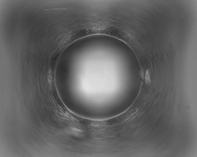 X0000057101299200509091153