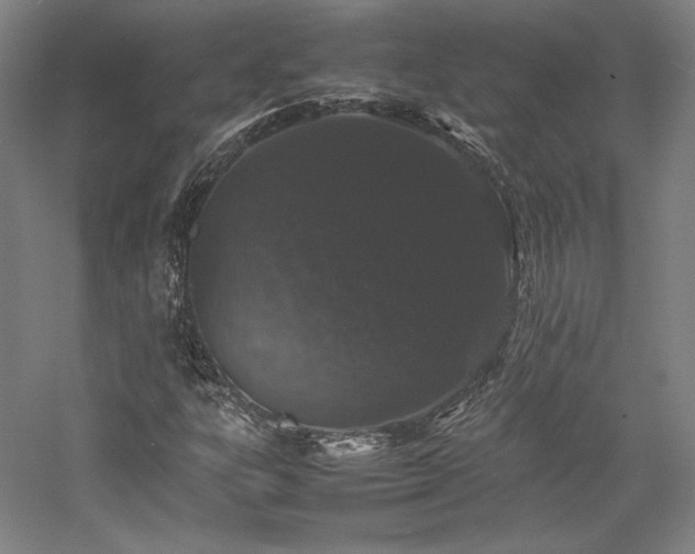 X0000057101303200509091153