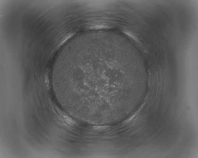 X0000057101305200509091153