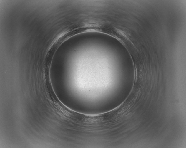 X0000057101307200509091153