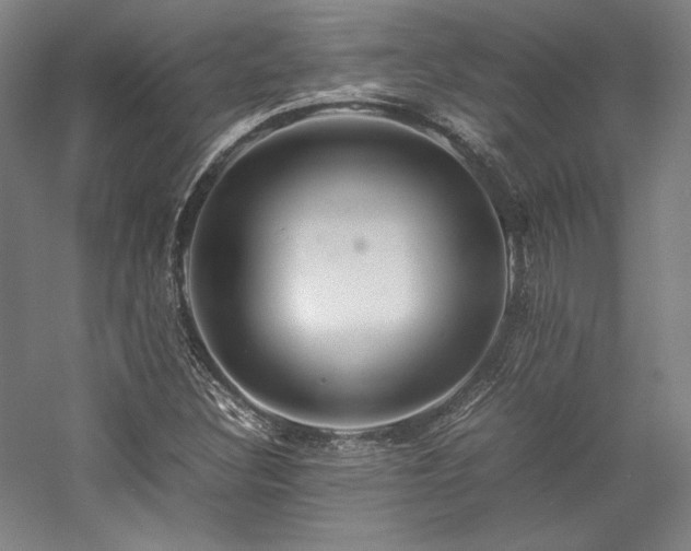 X0000057101308200509091153