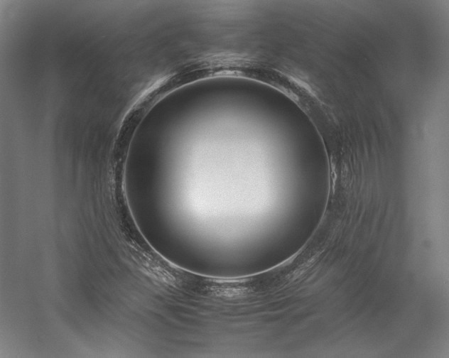 X0000057101309200509091153