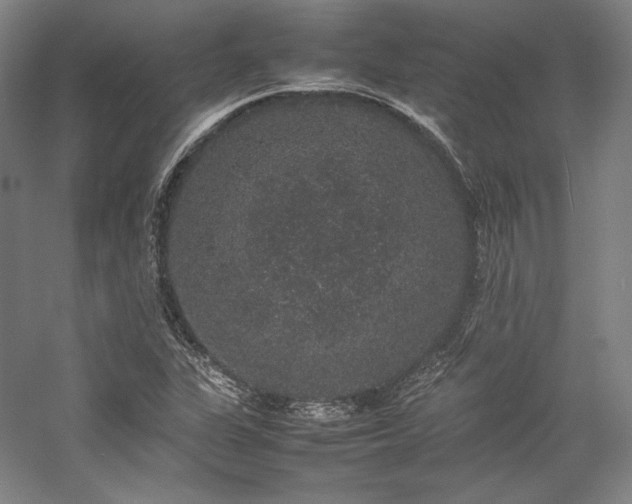 X0000057101311200509091153