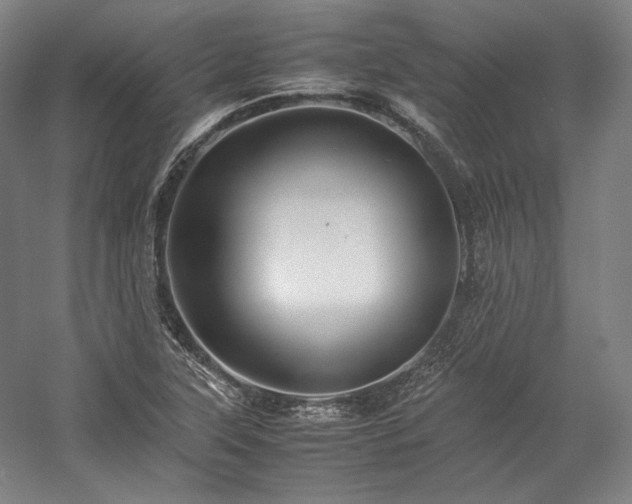 X0000057101315200509091153